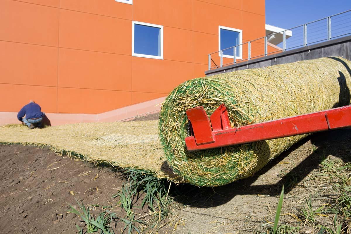 Hydroseeding